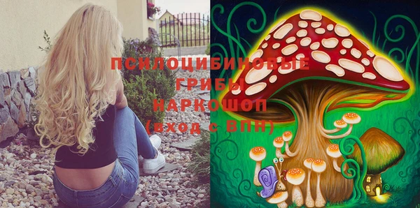 прущая мука Алзамай