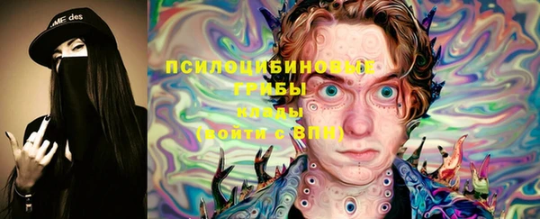 спиды Алексин