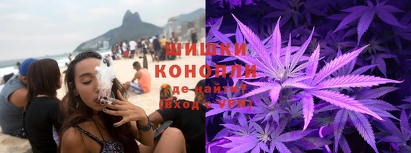 прущая мука Алзамай