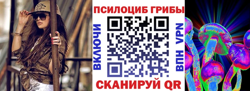 Галлюциногенные грибы Psilocybe  Купить  Таганрог 